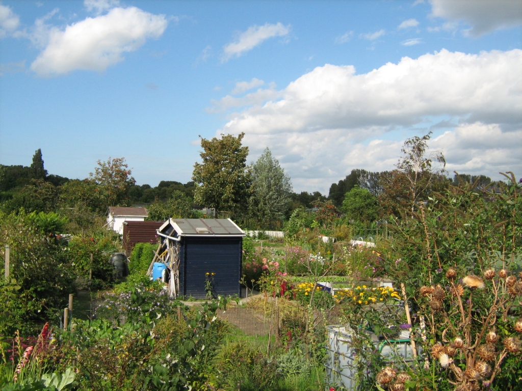 Thumbafbeelding van IMG 1901