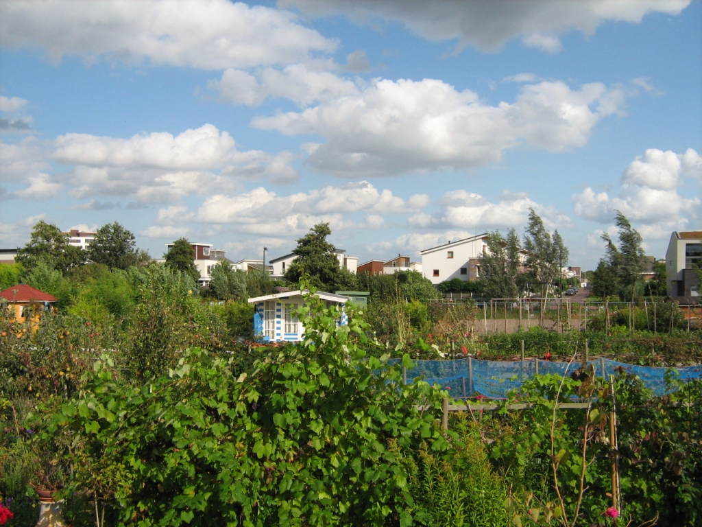 Thumbafbeelding van IMG 1903