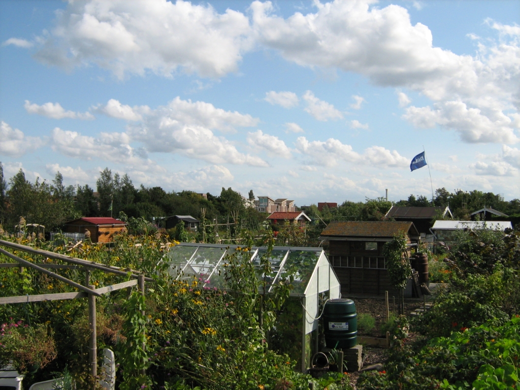 Thumbafbeelding van IMG 1904