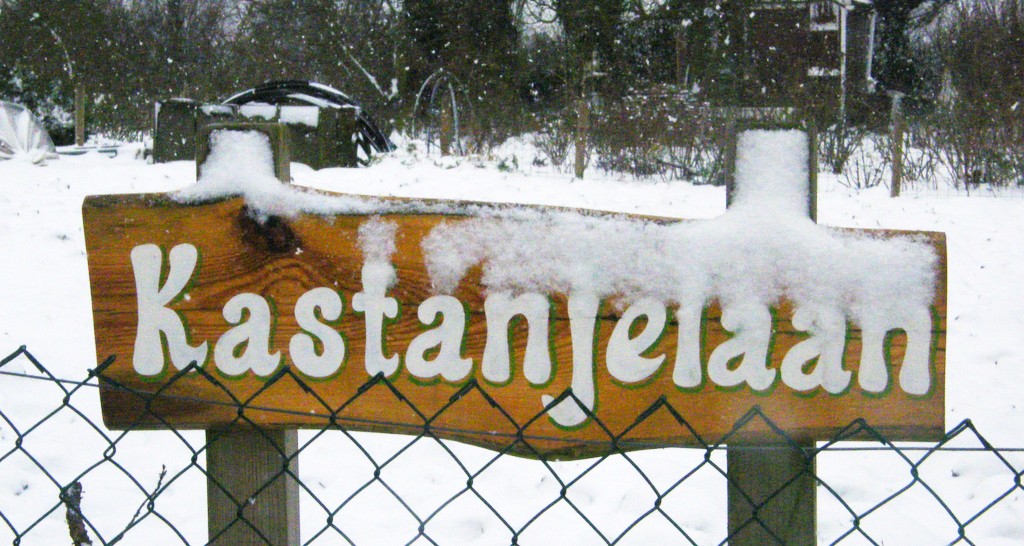 Thumbafbeelding van DSCF0037