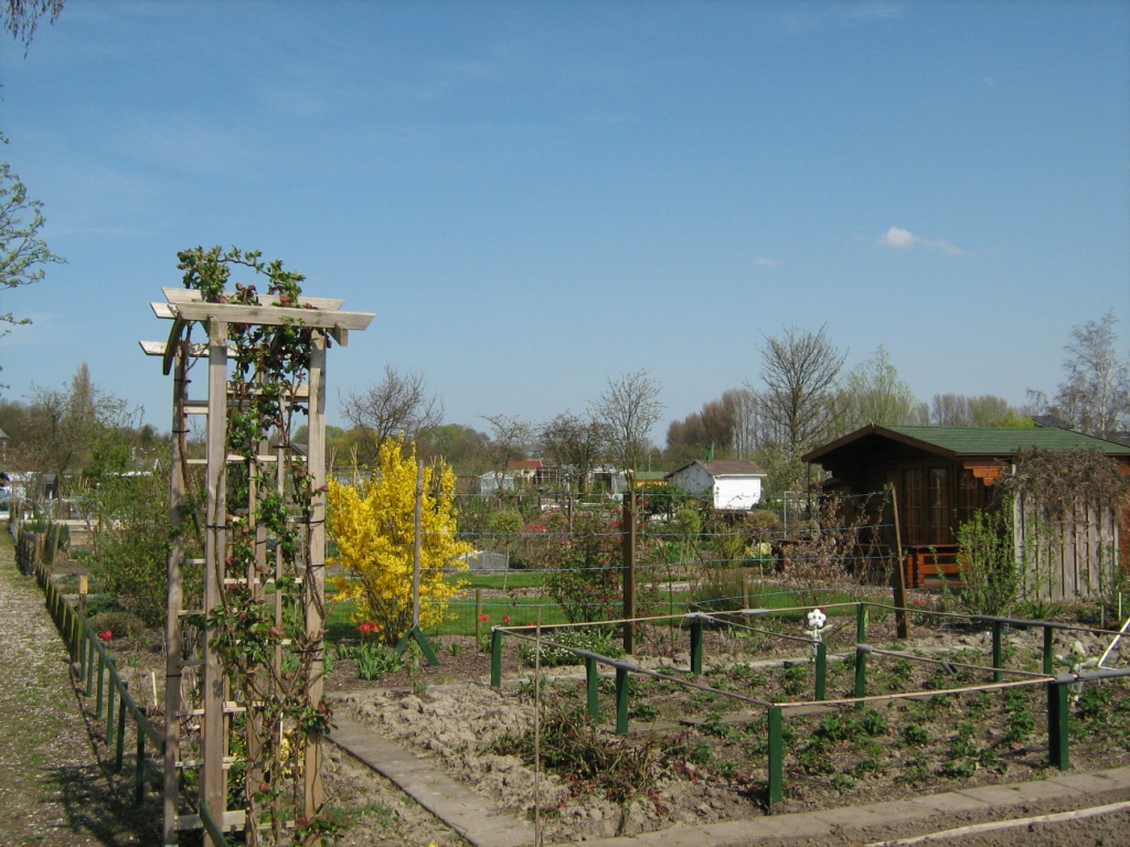 Thumbafbeelding van IMG 2977