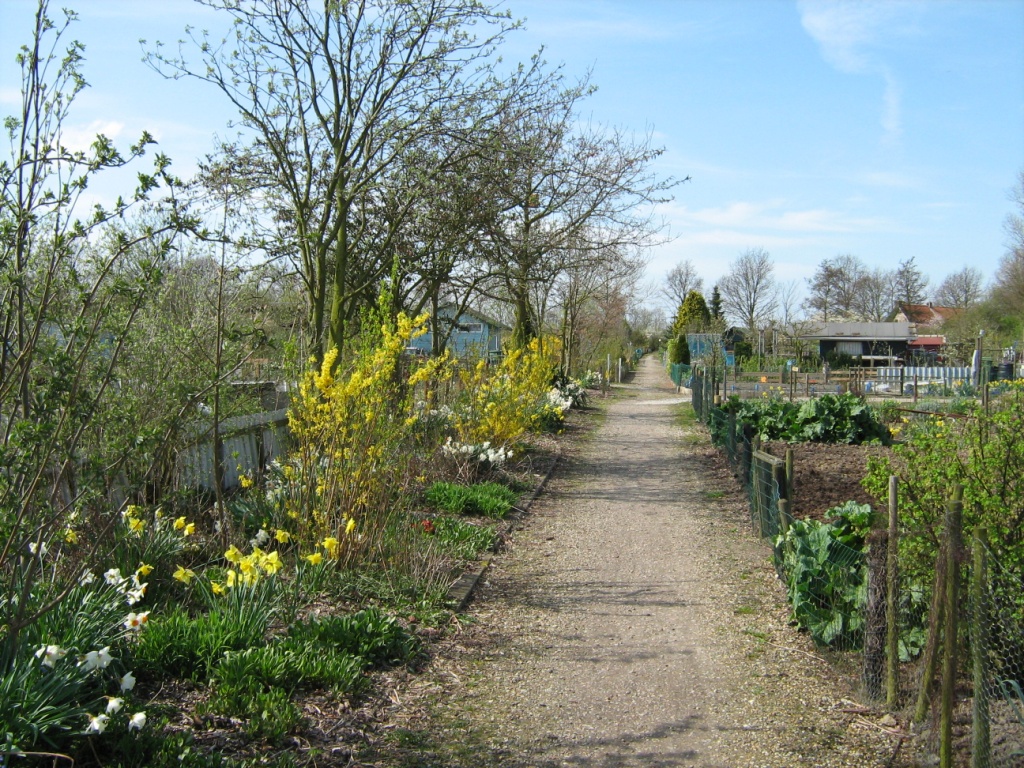 Thumbafbeelding van IMG 2983