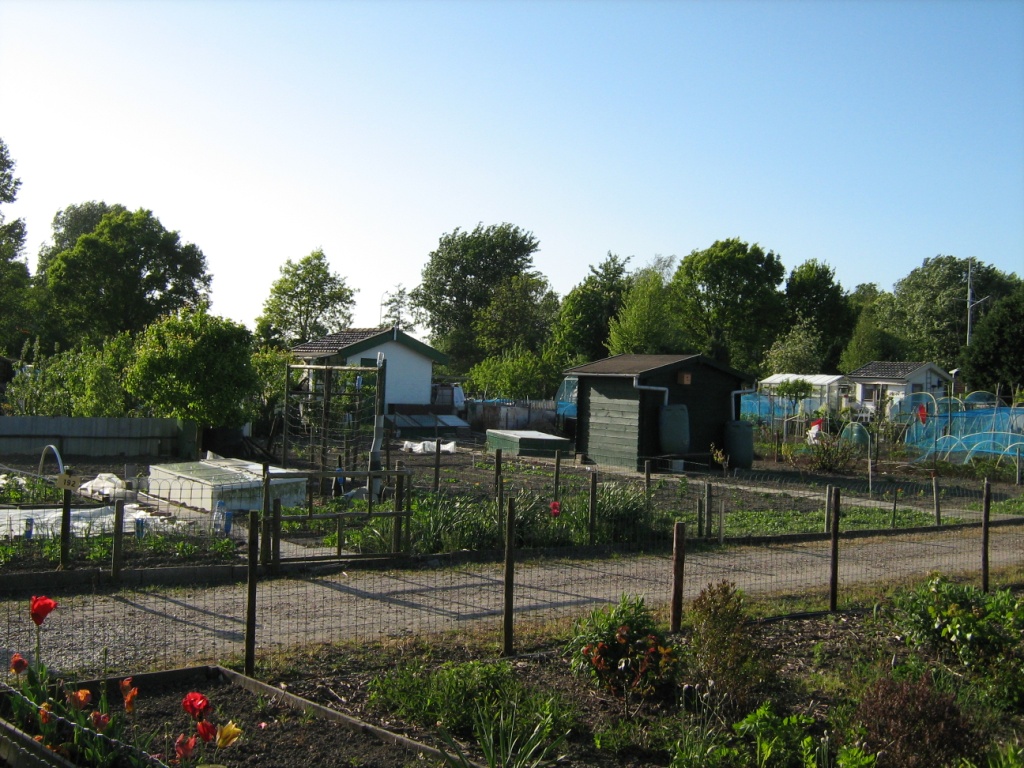 Thumbafbeelding van IMG 3362