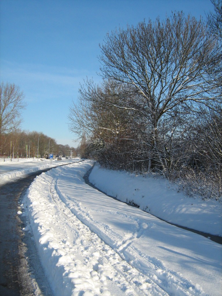 Thumbafbeelding van IMG 0423