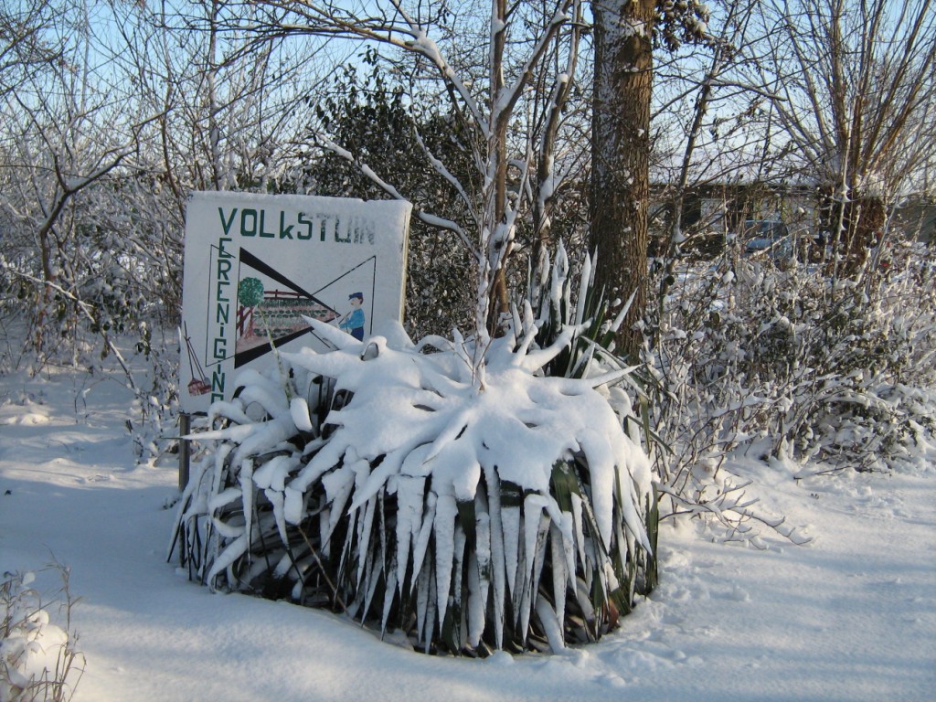 Thumbafbeelding van IMG 0427