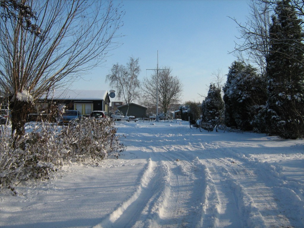 Thumbafbeelding van IMG 0428