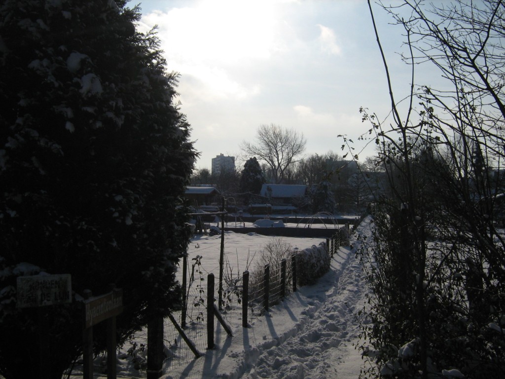 Thumbafbeelding van IMG 0430