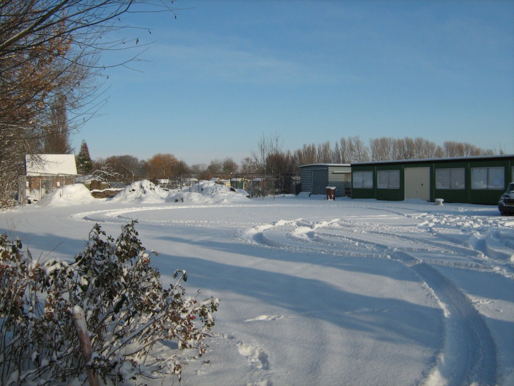 Thumbafbeelding van IMG 0432