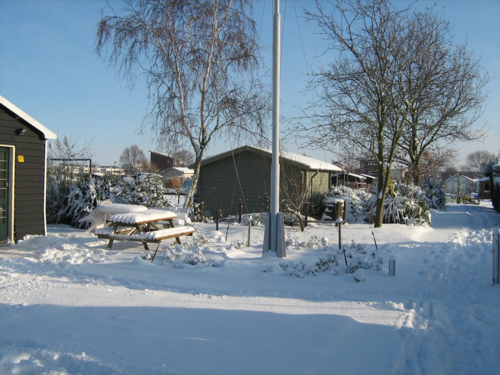 Thumbafbeelding van IMG 0434