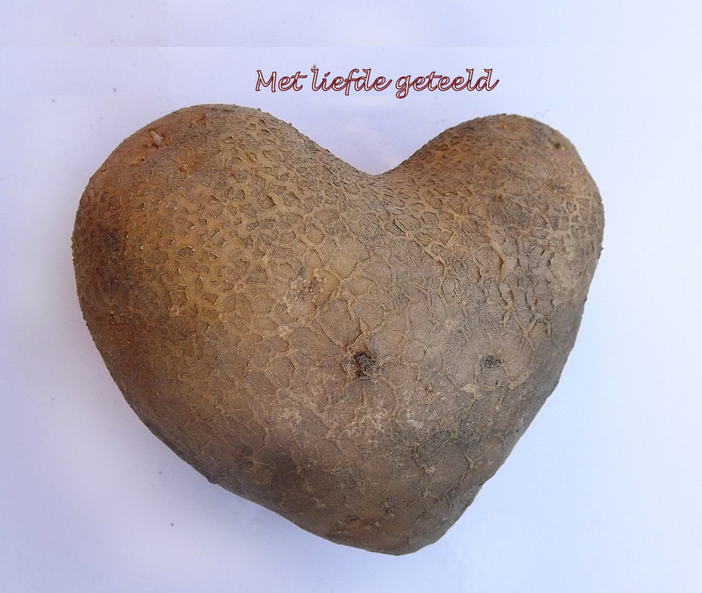 Thumbafbeelding van 01 1 DSCF8200