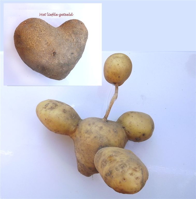 Thumbafbeelding van 02 DSCF8202