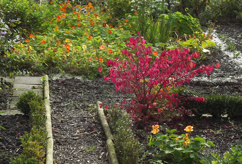 Thumbafbeelding van 05 27 DSCF8329