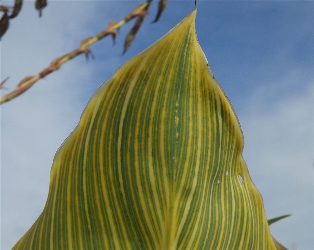 Thumbafbeelding van 07 22 DSCF8349