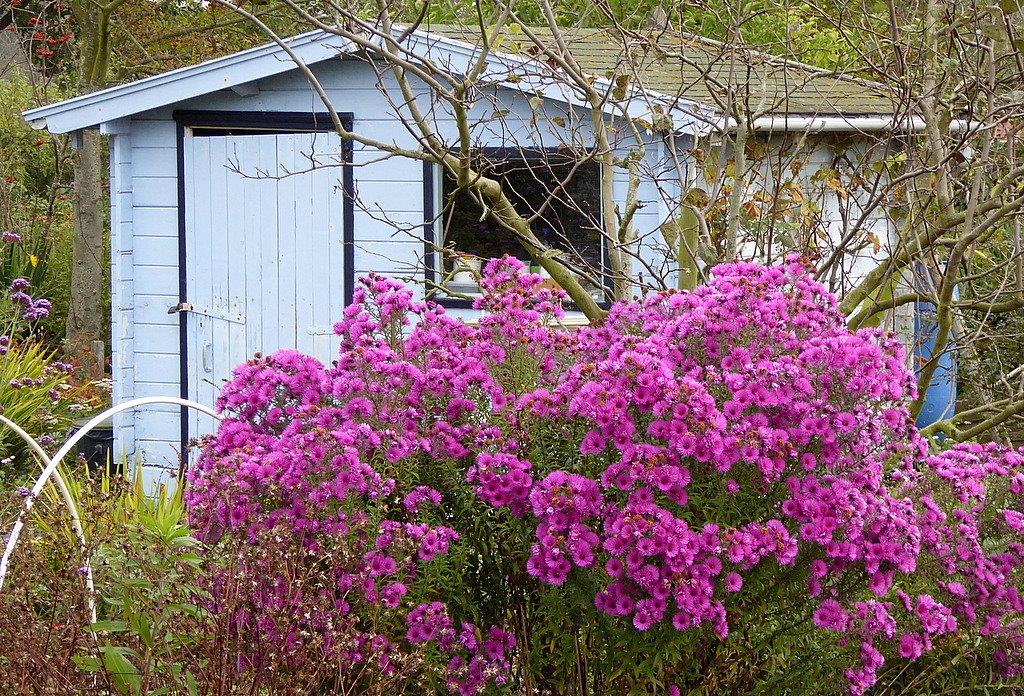 Thumbafbeelding van P1000334