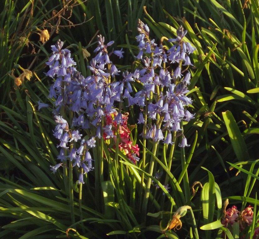 Thumbafbeelding van DSCF2891