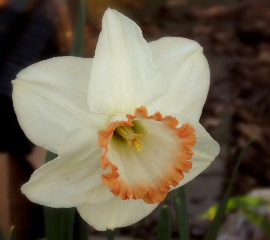 Thumbafbeelding van DSCF2907