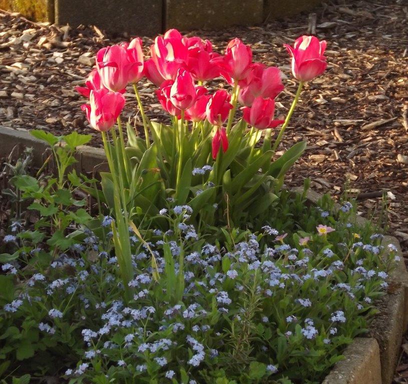 Thumbafbeelding van DSCF2934