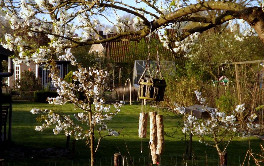 Thumbafbeelding van DSCF2947