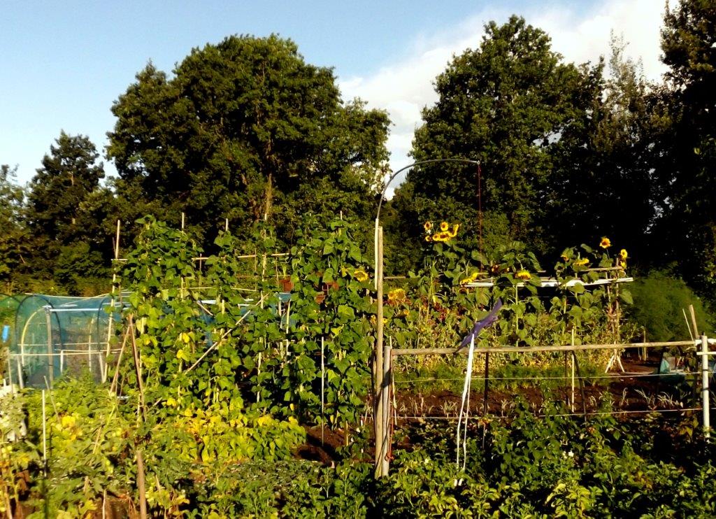 Thumbafbeelding van DSCF4824