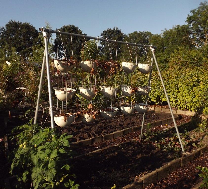 Thumbafbeelding van DSCF4869