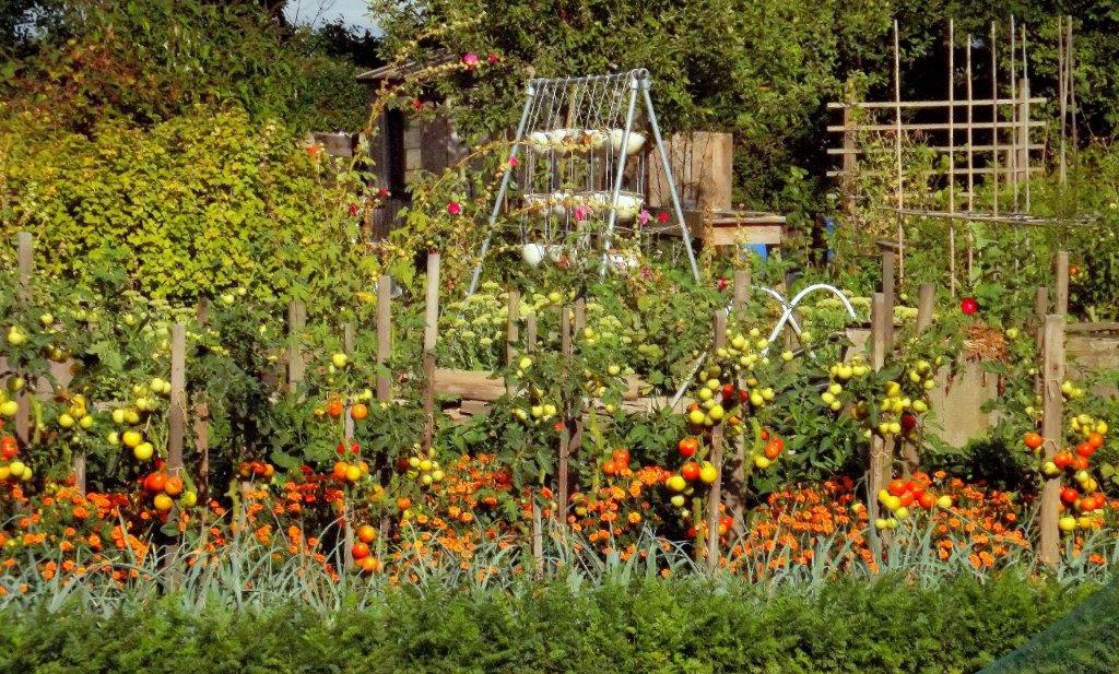 Thumbafbeelding van DSCF5005