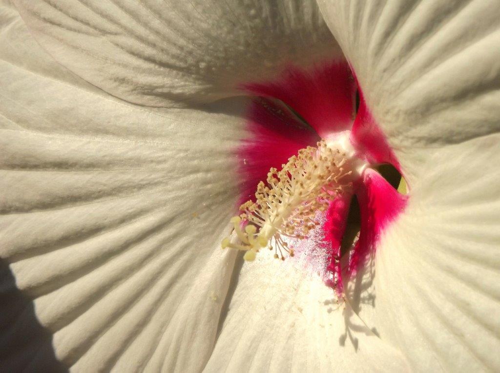 Thumbafbeelding van DSCF5141